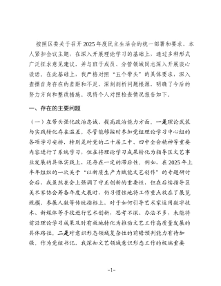 党组书记2025年度民主生活会个人对照检查材料(五个带头)