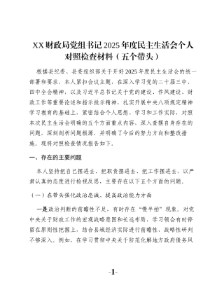 XX财政局党组书记2025年度民主生活会个人对照检查材料（五个带头）