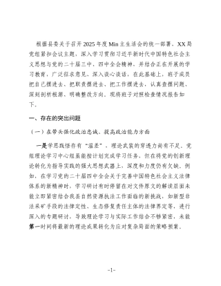局党组生活会班子对照检查