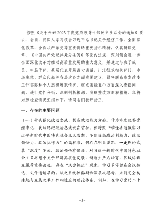 市发改委党组书记2025年专题民主生活会对照检查发言提纲