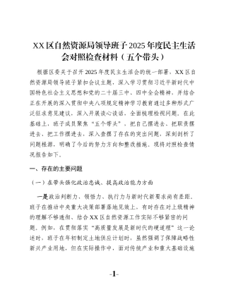 XX区自然资源局领导班子2025年度民主生活会对照检查材料（五个带头）
