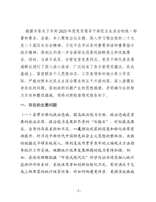 市统计局党组书记2025年度民主生活会对照检查发言材料