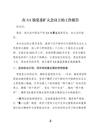 在XX镇党委扩大会议上的工作报告