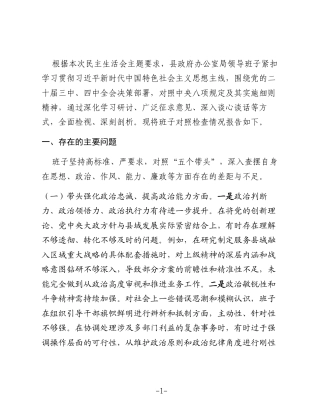 县政府办公室领导班子2025年度民主生活会对照检查材料(五个带头)