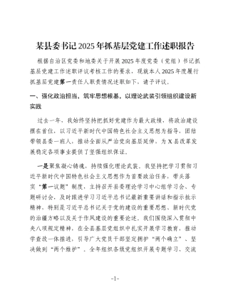 （41篇）2025年抓基层党建工作述职报告汇编