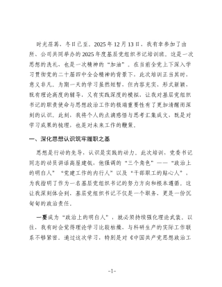 参加基层党组织书记培训班心得体会