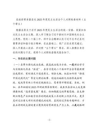 县政府常务副县长2025年度民主生活会个人对照检查材料（五个带头）