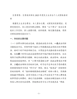 区委常委、区委组织部长2025年度民主生活会个人对照检查材料（五个带头）