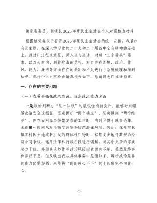 镇党委委员、副镇长2025年度民主生活会个人对照检查材料（五个带头）