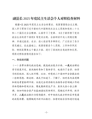 副县长2025年度民主生活会个人对照检查材料