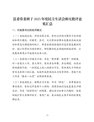 县委常委班子2025年度民主生活会相互批评意见汇总