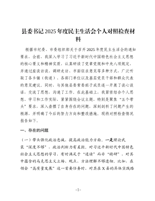 县委书记2025年度民主生活会个人对照检查材料（五个带头）