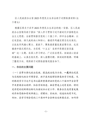 区人民政府办公室2025年度民主生活会班子对照检查材料(五个带头)