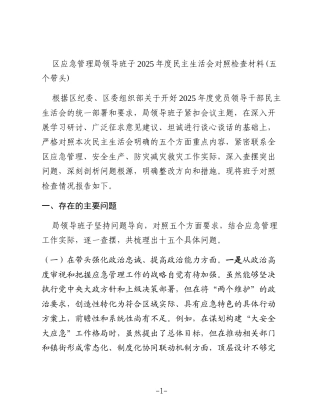 区应急管理局领导班子2025年度民主生活会对照检查材料(五个带头)