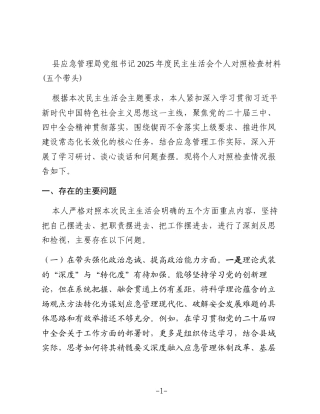 县应急管理局党组书记2025年度民主生活会个人对照检查材料(五个带头)