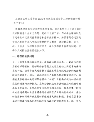 工业园区党工委书记2025年度民主生活会个人对照检查材料(五个带头)