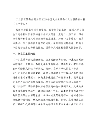 工业园区管委会副主任2025年度民主生活会个人对照检查材料（五个带头）