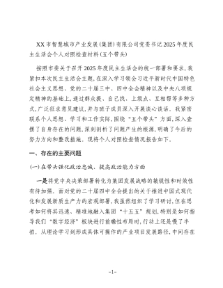 XX市智慧城市产业发展(集团)有限公司党委书记2025年度民主生活会个人对照检查材料(五个带头)
