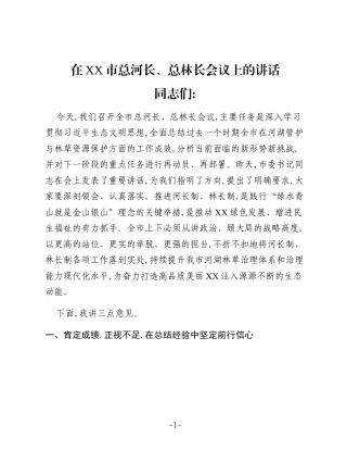 在XX市总河长、总林长会议上的讲话