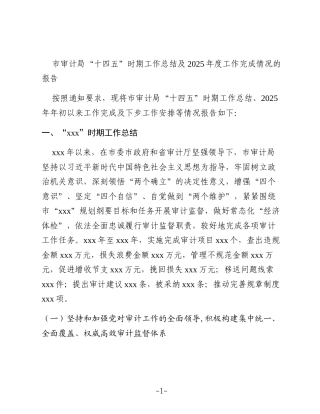 市审计局“十四五”时期工作总结及2025年度工作完成情况的报告
