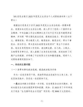 XX县农业银行2025年度民主生活会个人对照检查材料（五个带头）(1)