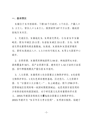 XX镇经济社会发展情况报告