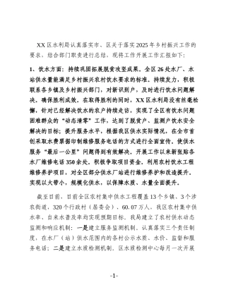 XX区水利局2025年度乡村振兴工作总结