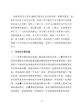 公司党委书记2025年度民主生活会个人对照检查材料(五个带头)