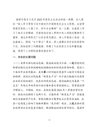 公司党委书记2025年度民主生活会个人对照检查材料(五个带头)2