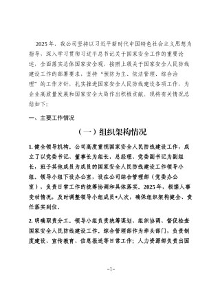 公司2025年度国家安全人民防线建设工作总结