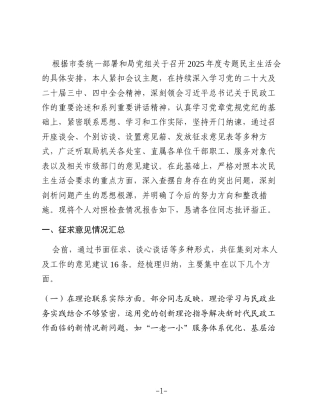 市民政局党组书记2025年度专题民主生活会发言提纲