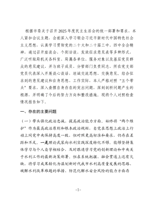 市水利局党组书记2025年度民主生活会个人对照检查材料