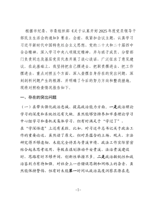政法委书记2025年度民主生活会对照检查材料