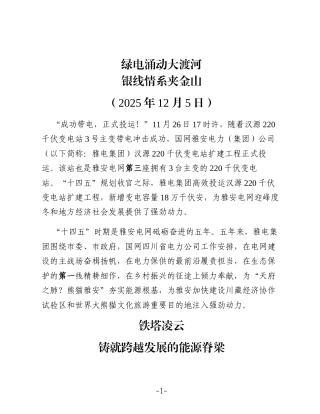 雅安电网“十四五”时期发展综述