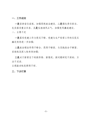 项目部党支部副书记抓基层党建工作述职报告提纲
