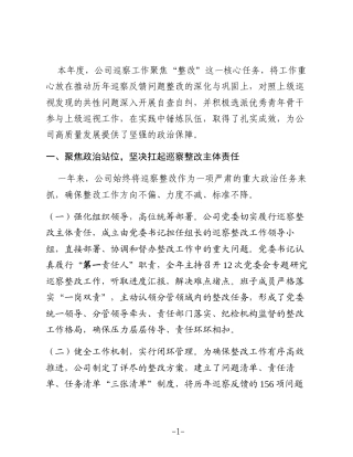 公司2025年度巡察工作总结