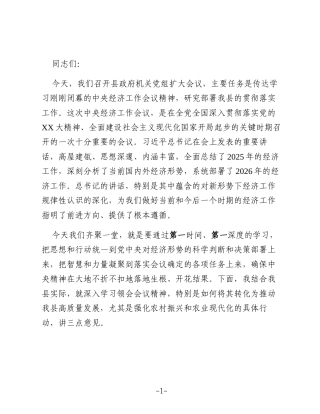 在传达学习2025年度中央经济工作会议精神上的讲话稿