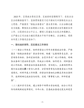 2025年度区委政法委“谁执法谁普法”普法责任制工作总结