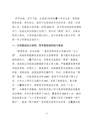 2025年度驻村工作总结