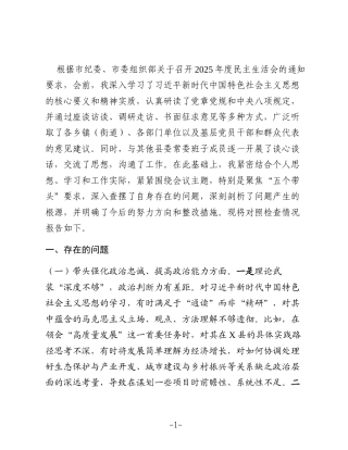 县委书记2025年度民主生活会个人对照检查材料