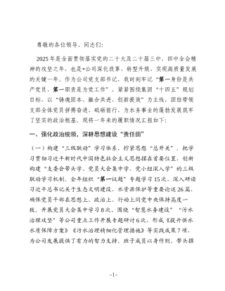 2025年公司党支部抓基层党建工作述职报告