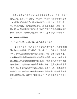 镇党委委员、副镇长2025年度民主生活会个人对照检查材料