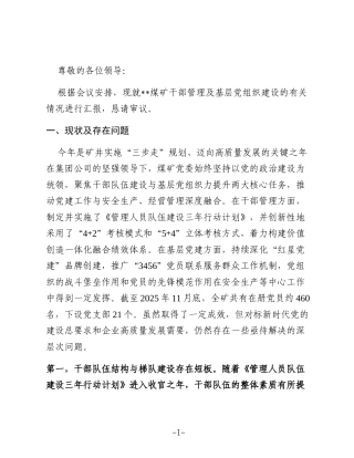 在集团公司关于干部管理及基层党组织建设情况的汇报