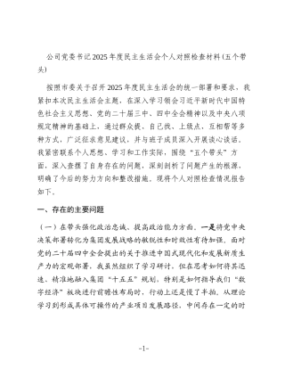 公司党委书记2025年度民主生活会个人对照检查材料(五个带头) (2)