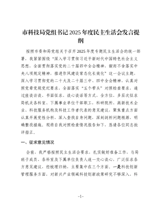 市科技局党组书记2025年度民主生活会发言提纲（上年度查摆问题整改落实情况+五个带头）