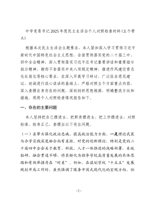 中学党委书记2025年度民主生活会个人对照检查材料(五个带头)