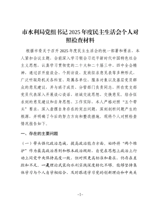 市水利局党组书记2025年度民主生活会个人对照检查材料（五个带头）