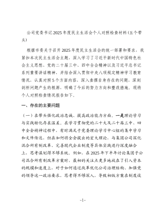 公司党委书记2025年度民主生活会个人对照检查材料(五个带头) (3)