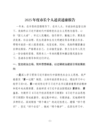 2025年度市长个人述责述廉报告