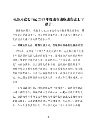 税务局党委书记2025年度述责述廉述党建工作报告